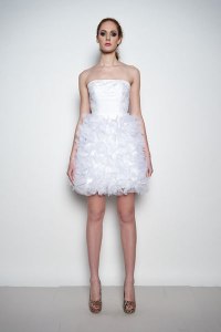 krotkaslubnanikonorov